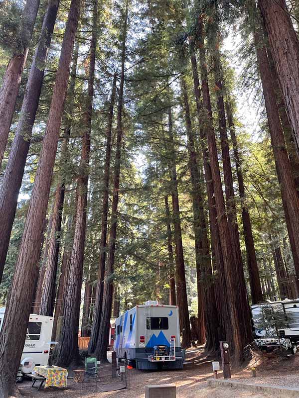 Stefanie's RV in a California forest