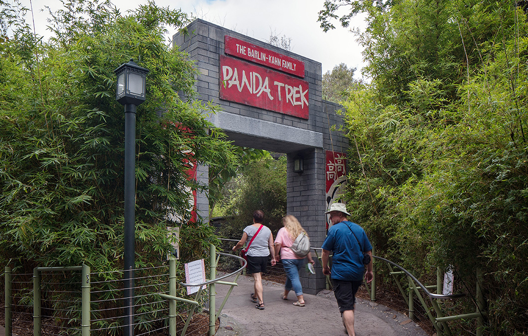 Panda Trek at San Diego Zoo